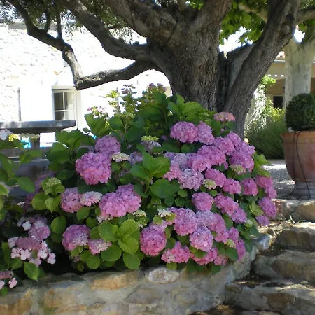 Bed & Breakfast Bastide De Fontvieille *