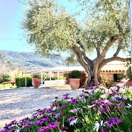 Bastide De Fontvieille * Saint-Cyr-sur-Mer
